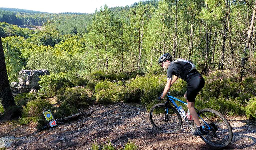 Circuits VTT